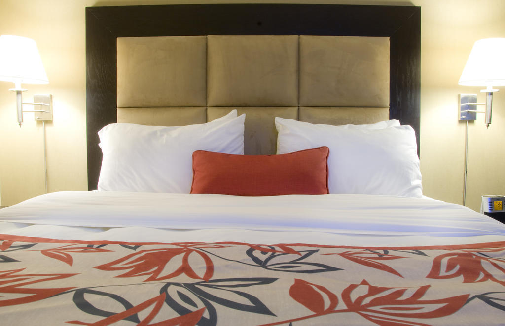 Ramada Plaza Crystal Palace Dieppe Quarto foto